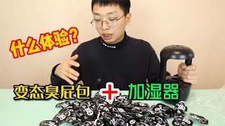 把整蛊“变态臭屁包”放到加湿器里面，会怎样？隔壁：你在煮屎！【半生开箱】