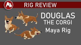 Douglas the Corgi - (free) Maya Animation Rig - Review