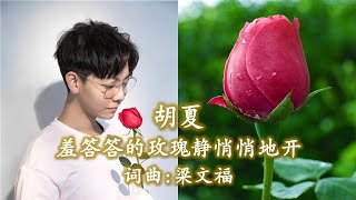 胡夏《羞答答的玫瑰静悄悄的开》词曲: 梁文福 （高清+無損高音質）