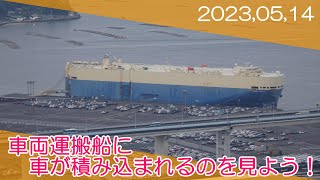 【おとなの社会見学】自動車運搬船に車が積み込まれるのを見よう！