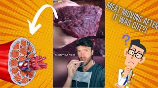 Why freshly cut meat still moves