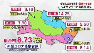 新型コロナは増加　ヘルパンギーナは減少　仙台市の感染者数