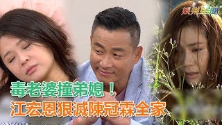 炮仔聲／毒老婆撞弟媳！江宏恩狠滅陳冠霖全家｜三立新聞網SETN.com