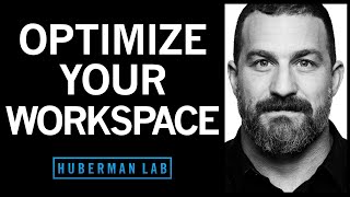 Optimizing Workspace for Productivity, Focus, & Creativity