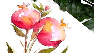 Watercolor pomegranates from my garden