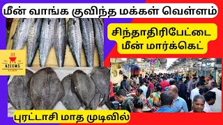 Chintadripet Fish Market | சிந்தாதிரிபேட்டை மீன் மார்க்கெட் புரட்டாசி மாதத்தில் | Azeems kitchen