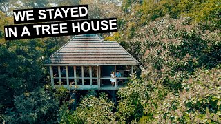 WE STAYED IN A BEAUTIFUL TREE HOUSE | Travelling to Montezuma | Costa Rica Travel Vlog