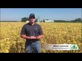 Corteva Soybean Herbicide Program