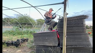 AND FINALLY , the Fox makes a fatal mistake !