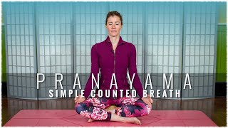 Pranayama w/ Rachel Scott: Prana 1 - Simple Counted Breath