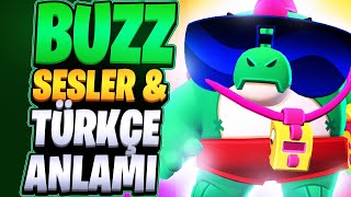 YENİ KARAKTER BUZZ SESLERİ VE TÜRKÇE ANLAMLARI - Brawl Stars #JurassicSplash