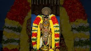 With Blessings of Srirangam Srirenganayagi Thayar, Namperumal.