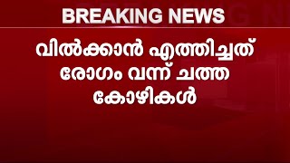 കോഴിക്കോട് വിൽക്കാൻ കൊണ്ടുവന്നത് ശ്വാസകോശ രോഗം വന്ന് ചത്ത കോഴികൾ