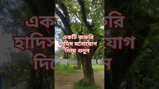 জরুরি একটা হাদিস শুনেন সবাই 😱🤲🙏 #shortvideo #mizanur_rahman_azhari #waz #reels #foryou #viralreels