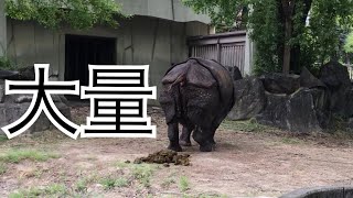 サイのう○ち w【閲覧注意】