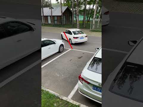 Easy way to park your car, how do you park all your cars?