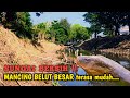 UNTUNG BANYAK ‼️SELALU DAPAT KEJUTAN MANCING BELUT DI SUNGAI INI