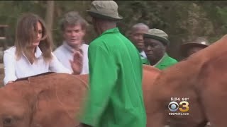 Elephant Bumps Into First Lady Melania Trump At Nairobi National Park