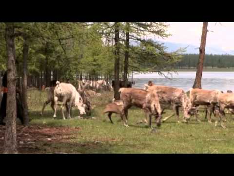 Mongolia Youtube