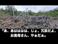 【スカッとする話】姑の私の料理を絶対に孫に食べさせない息子嫁→後日、真相を知り私「あなたの仕業だったの？」dqn嫁「えっ？」【朗読】