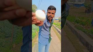 সবার গায়ে ডিম ফাটালাম 🥚 #shorts #foodchallenge