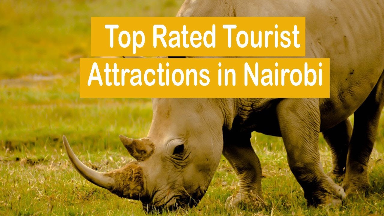 11 Top Rated Tourist Attractions In Nairobi - YouTube