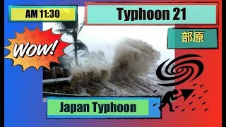 Japanese Typhoon videos: Typhoon No.21 AM.11:30