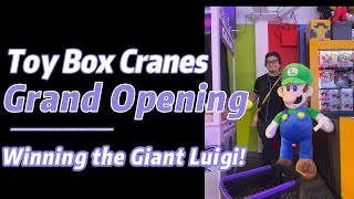 TOY BOX CRANES GRAND OPENING! HOW I WON THE BIG LUIGI!