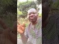 oba sokoto ranse si awon oba yoruba ogun nbo