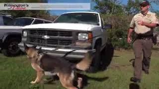 Wilmington's Got Talent, benefiting NHC Sheriff's K-9 Units
