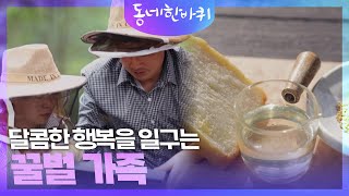 달콤한 행복을 일구는 꿀벌 가족 [동네 한 바퀴] | KBS 240629 방송