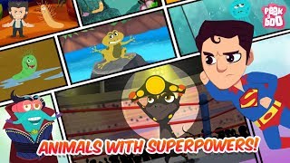Animals With Superpowers! - The Dr. Binocs Show | Best Learning Videos For Kids | Peekaboo Kidz