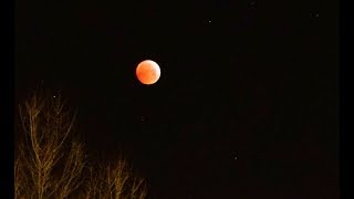 Holdfogyatkozás 2019.01.21. Budapest - Lunar Eclipse and Moon Set - Time lapse