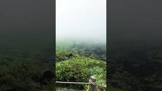 [伊豆大島]三原山に登ってみた