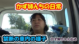 かず姉んちの日常！買い物に行く車内の様子を公開！【かず姉ちゃんねる】