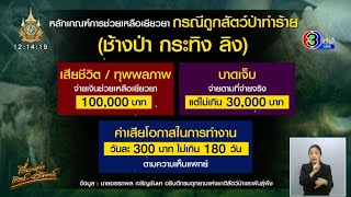 กรมอุทยานฯ เคาะแล้ว! ออกระเบียบเยียวยาถูก ‘ลิง’ ทำร้าย เสียชีวิตจ่าย 1 แสน เจ็บไม่เกิน 3 หมื่น