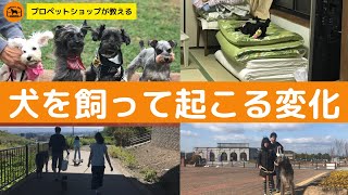 飼育初心者必見！犬を飼うことで起こる生活の特徴5選