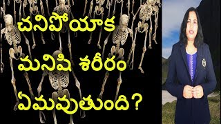 చనిపోయాక మనిషి శరీరం ఏమవుతుంది? | What Happens After Death ? | VIGYANI Telugu