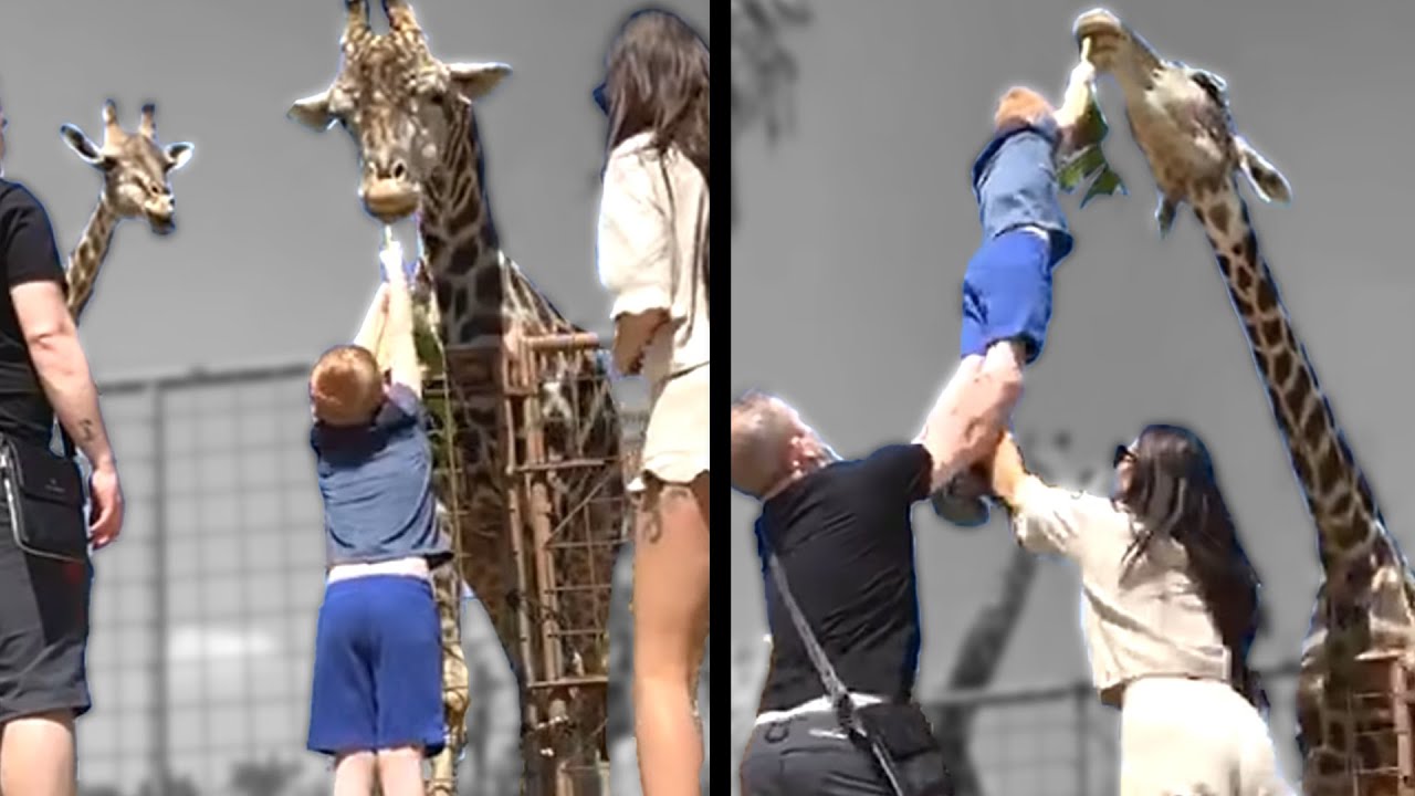 Asking Homeless People for Money