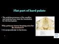 maxillary anatomical landmarks marking on model denture bearing area