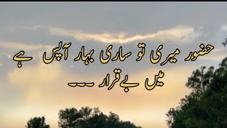 Huzoor Meri To Sari Bahar Aapse hai           Urdu lyrics by Muhammad bilal butt official 720HD2024