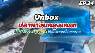 อยากดูปลา | Unbox ปลาหางนกยูงจำนวน 4+1 คู่ ปัญหาเยอะมากก EP24