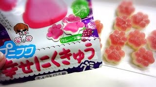 Japanese candy 재미있는 과자　プニフワ　幸せにくきゅう　グミ【お菓子紹介動画】　【ちょっとワル編】