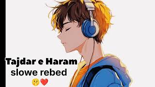 Tajdar-e-Haram. slowe rebed...use dis headphones 🎧