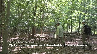 Ticks, landscapes and thresholds of disturbance