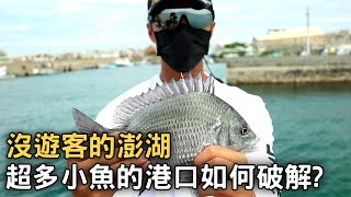 【前哨戰】如何破解都是小魚的港口，釣到目標魚黑鯛?!| 西瀛盃磯釣比賽 | 2021-08-13