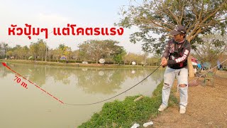 มันคือปลาอะไร ? นี่มันสัตว์ประหลาดชัดๆ วิ่งทะลุน้ำพุ 😱 Ab-Fishing