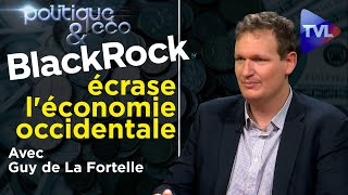 BlackRock : la nébuleuse du scandale (1ère partie) - Politique \u0026 Eco n°327 avec Guy de La Fortelle