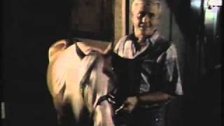 Martin Milner is Captian Brian O'Neal