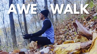 AWE - WALK! Nature's Fall Beauty! 🍂 | Tamil CEO Sidd Ahmed